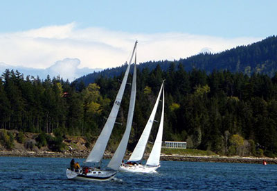 Deep Cove Yacht Club Open Invitation to Come and Race Your Sailboat