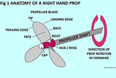 Propellers - figure 1 - Anatomy of a right hand prop