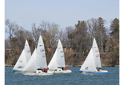 SinC Shark Sailors 400