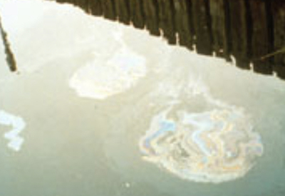 Sheen of Oil