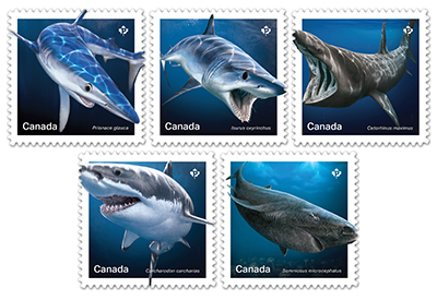 Des timbres de Postes Canada célèbrent les requins des eaux canadiennes