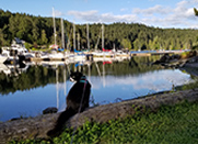 Furry Boating Companions Photo Contest