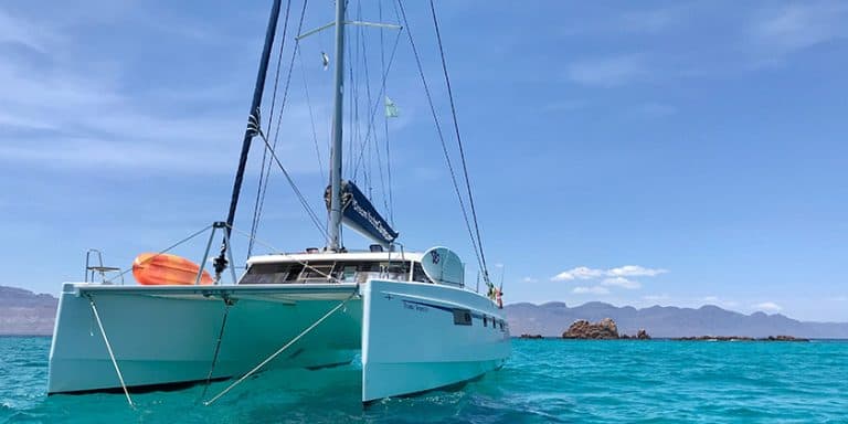 Two Weeks in the Sea of Cortez