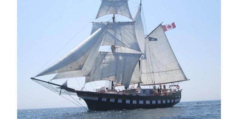 Les grands voiliers de retour au Toronto Waterfront Festival