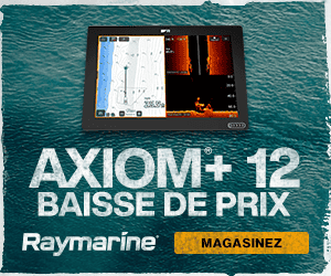 Raymarine