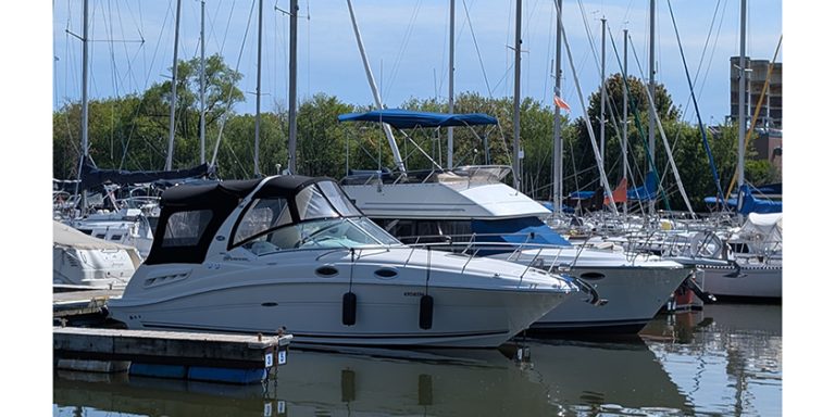 Buying and Selling – The Boat Market: the Only Constant is Change